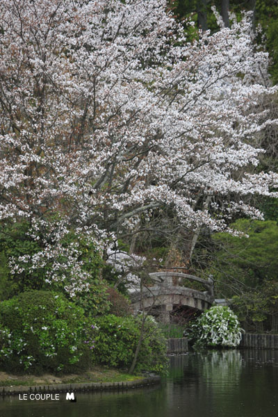 RYOANJI-021