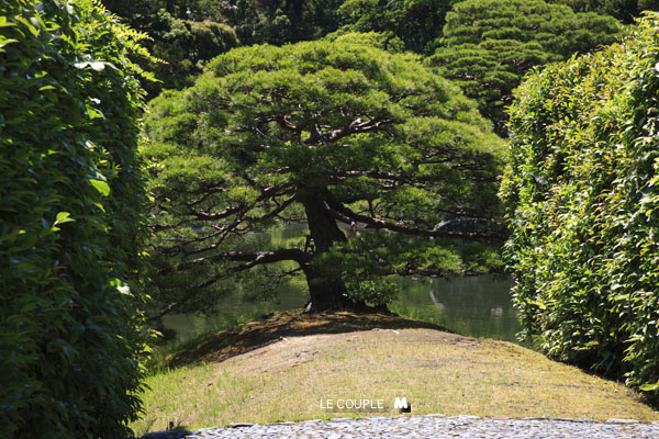 KATSURARIKYU-025