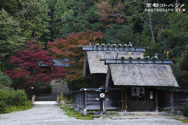 HIMUKAI-007