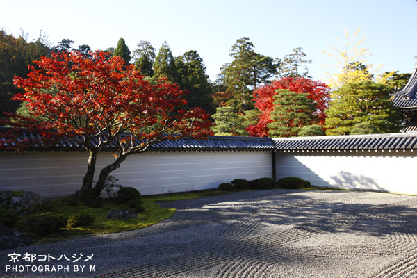 NANZENJI-005