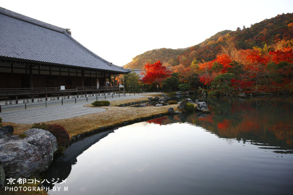 TENRYUJI-001