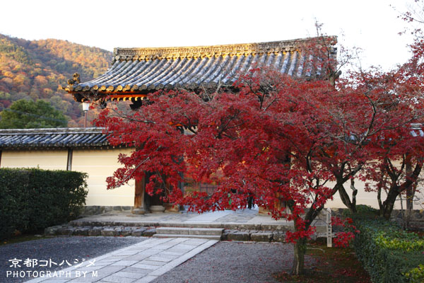 TENRYUJI-003