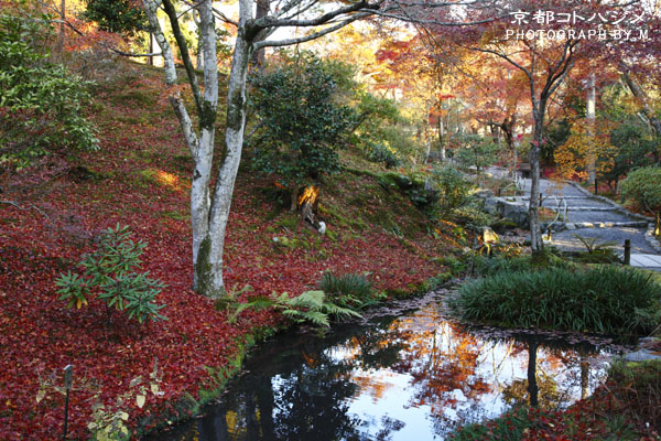 TENRYUJI-011