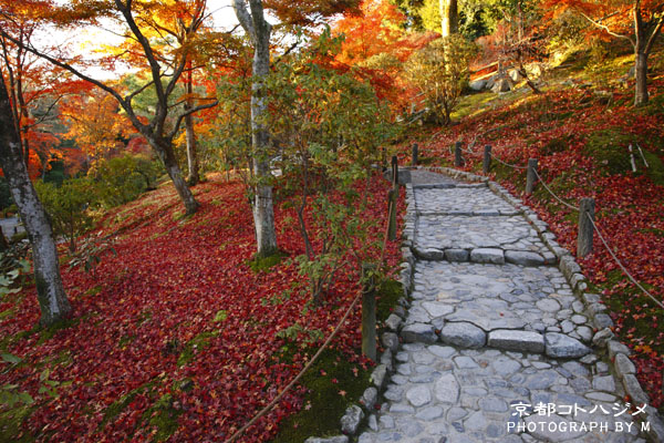 TENRYUJI-015