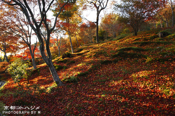 TENRYUJI-017