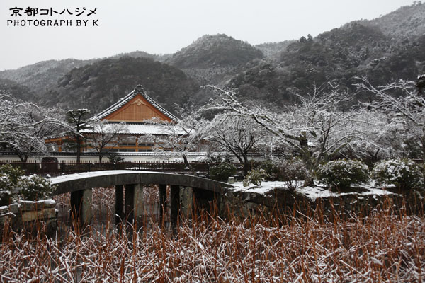 TENRYUJI-015