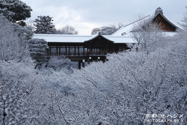 TOUFUKUJI-010