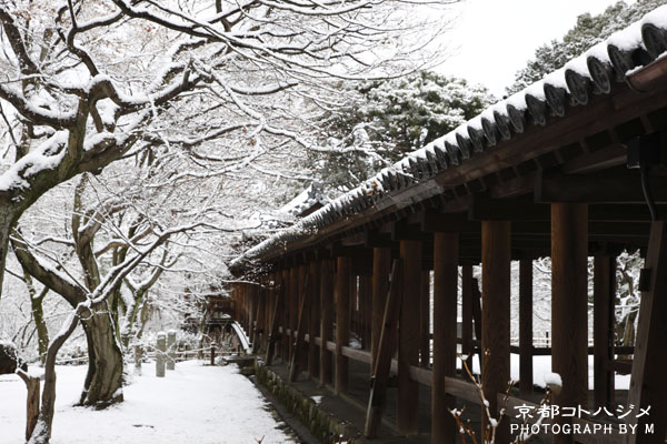 TOUFUKUJI-060