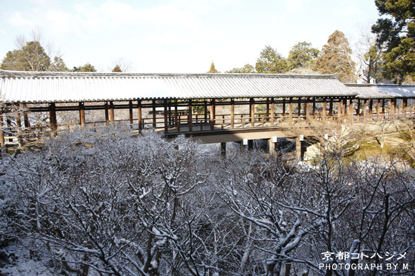 TOUFUKUJI-126