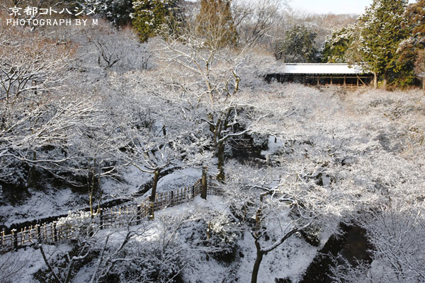 TOUFUKUJI-500