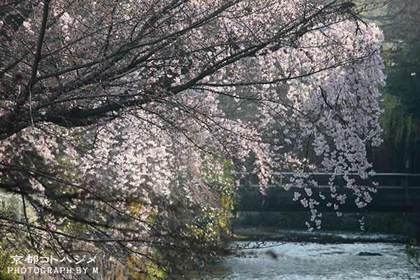 GIONSHIRAKAWA-090