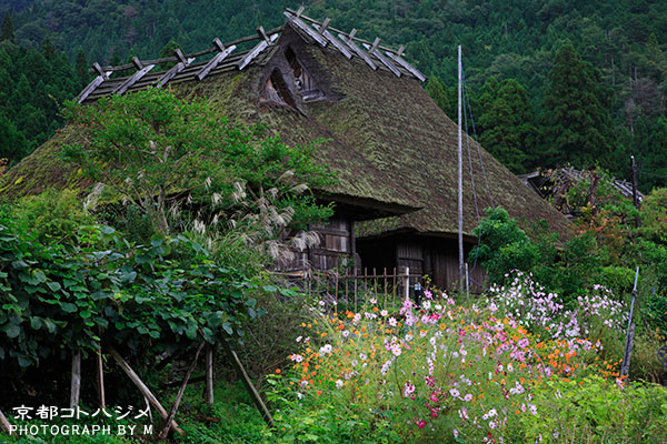 MIYAMA-025