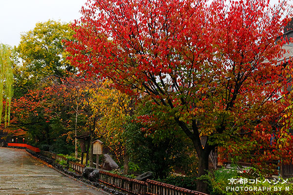 GIONSHIRAKAWA-040