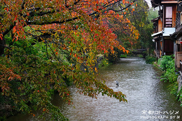 GIONSHIRAKAWA-060