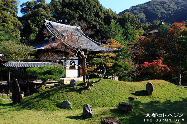 KOUDAIJI-050