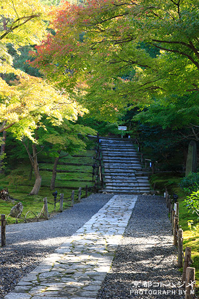 KOUDAIJI-060