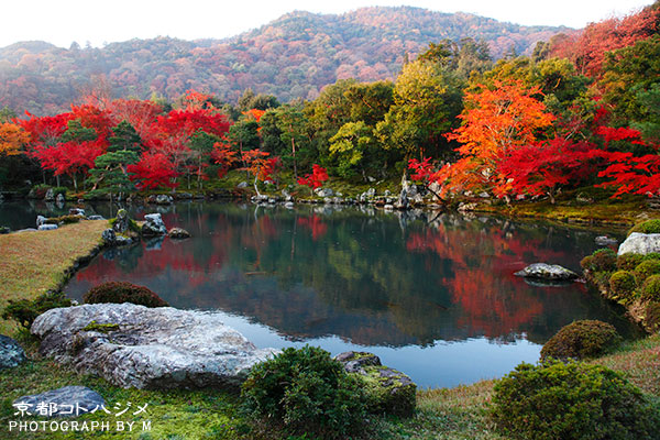 TENRYUJI-001