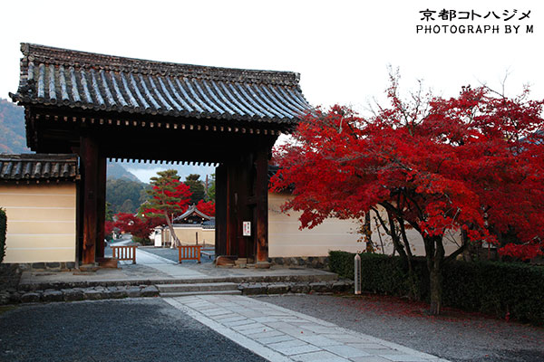 TENRYUJI-003