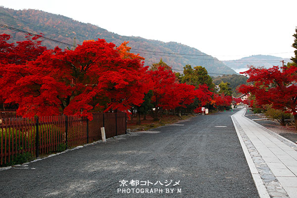 TENRYUJI-005