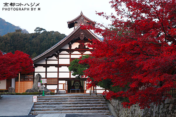 TENRYUJI-007