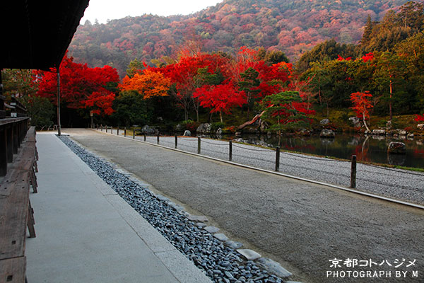 TENRYUJI-009