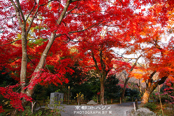 TENRYUJI-011