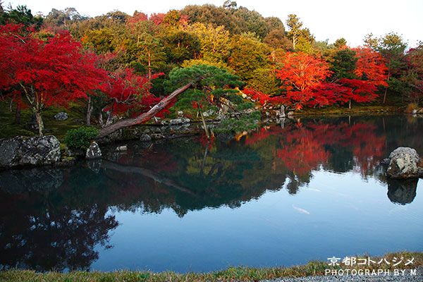 TENRYUJI-019