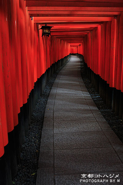 FUSHIMIINARI-001