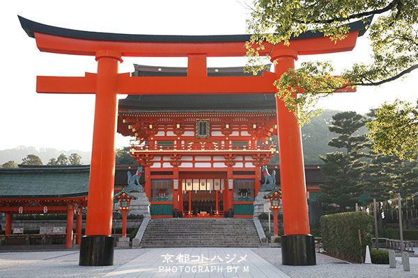 FUSHIMIINARI-003