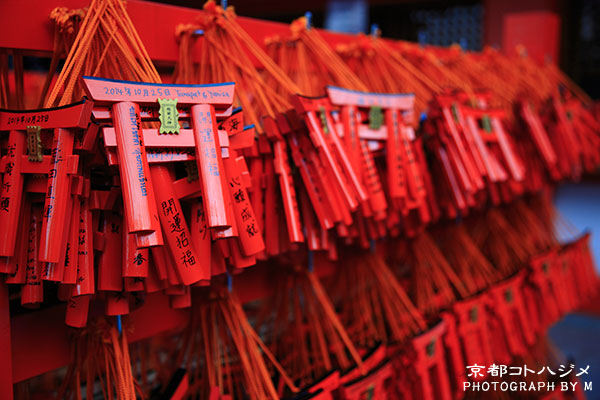 FUSHIMIINARI-013