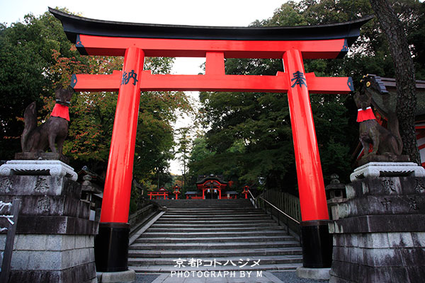 FUSHIMIINARI-015