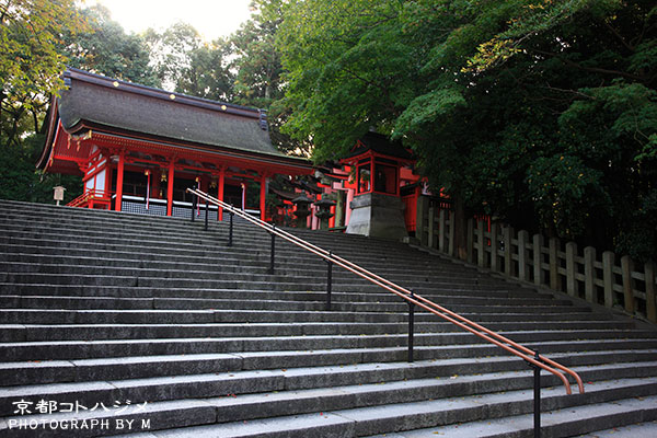 FUSHIMIINARI-017