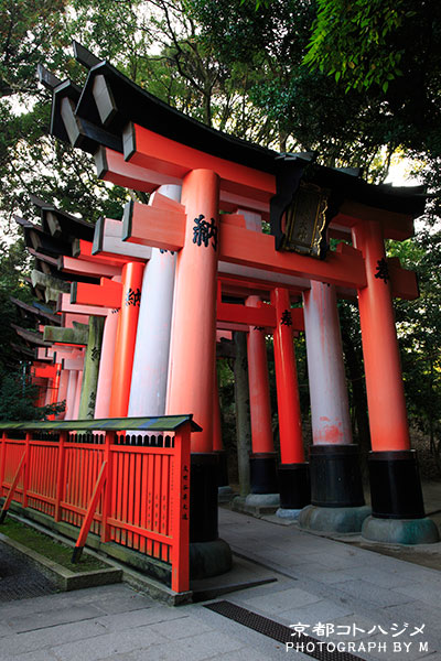 FUSHIMIINARI-019