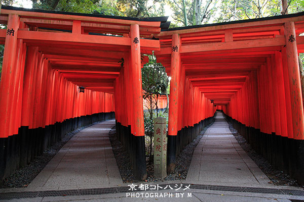 FUSHIMIINARI-021