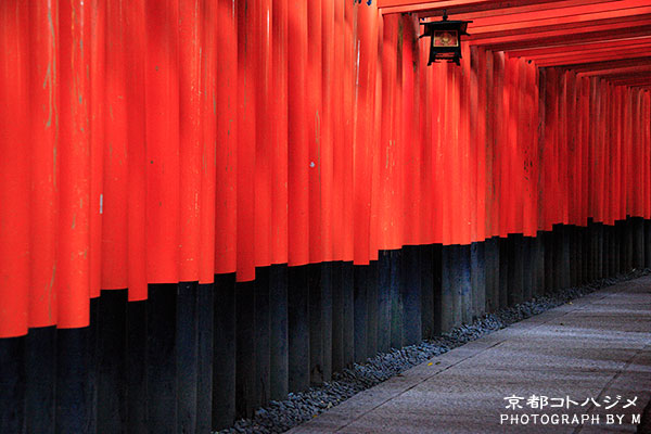 FUSHIMIINARI-023