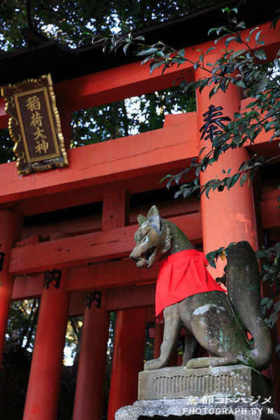 FUSHIMIINARI-027