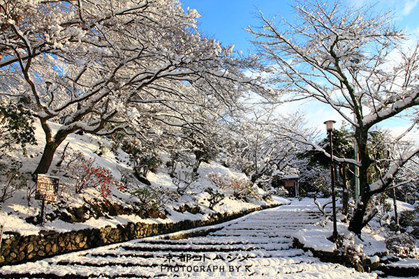 ARASHIYAMA-090