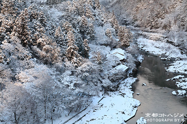 ARASHIYAMA-500