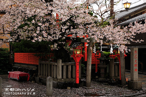 SHIRAKAWA-035