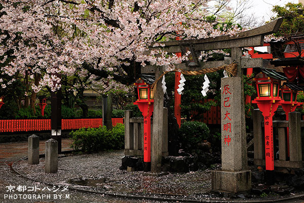 SHIRAKAWA-037