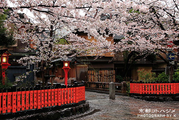 SHIRAKAWA-070