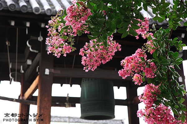 HONRYUJI-017