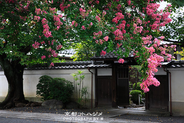 HONRYUJI-022