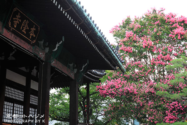 HONRYUJI-028