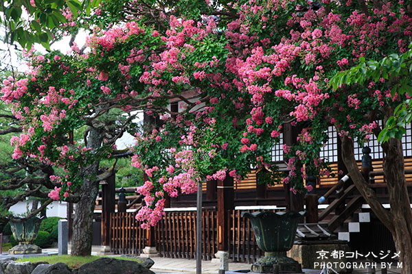 HONRYUJI-050