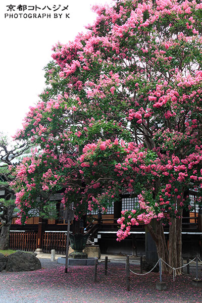 HONRYUJI-060