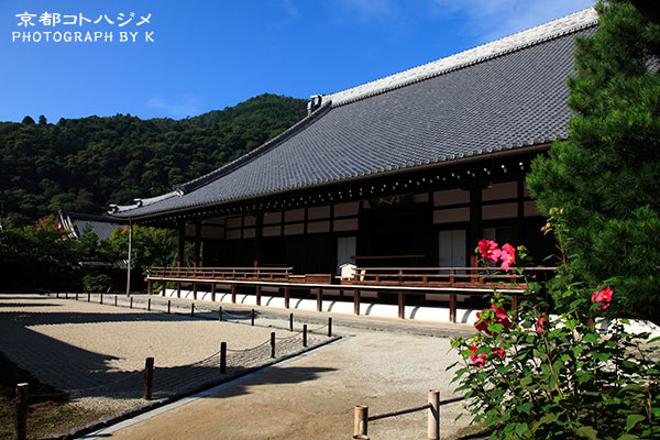 TENRYUJI-010