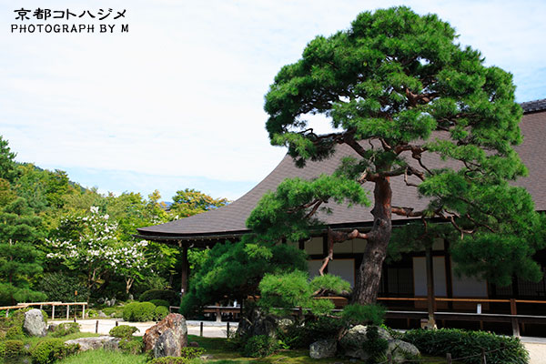 TENRYUJI-065