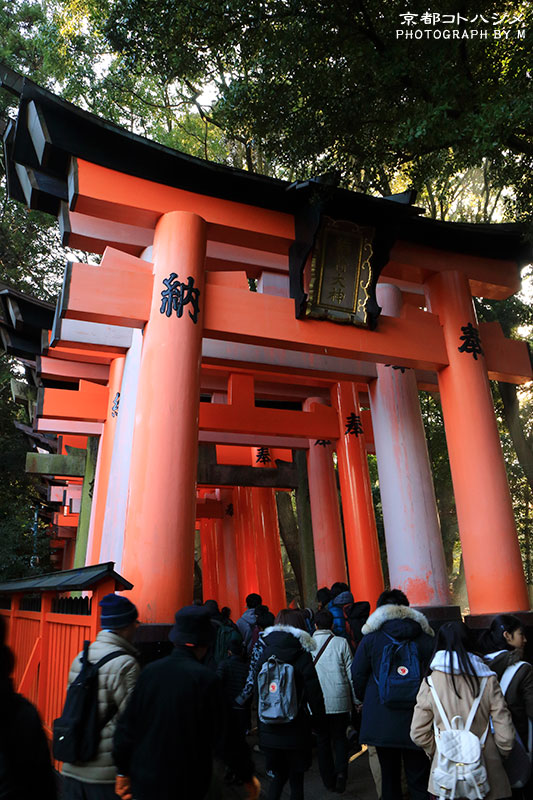 FUSHIMIINARI-009