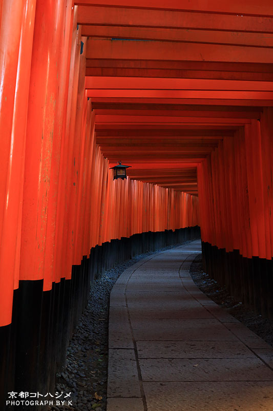 FUSHIMIINARI-011